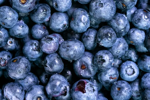 Blueberries.