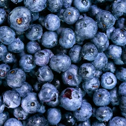 Blueberries.